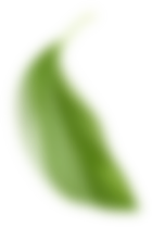 Kitla | Anasayfa