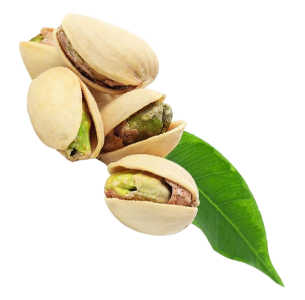 Kitla | Hakkımızda